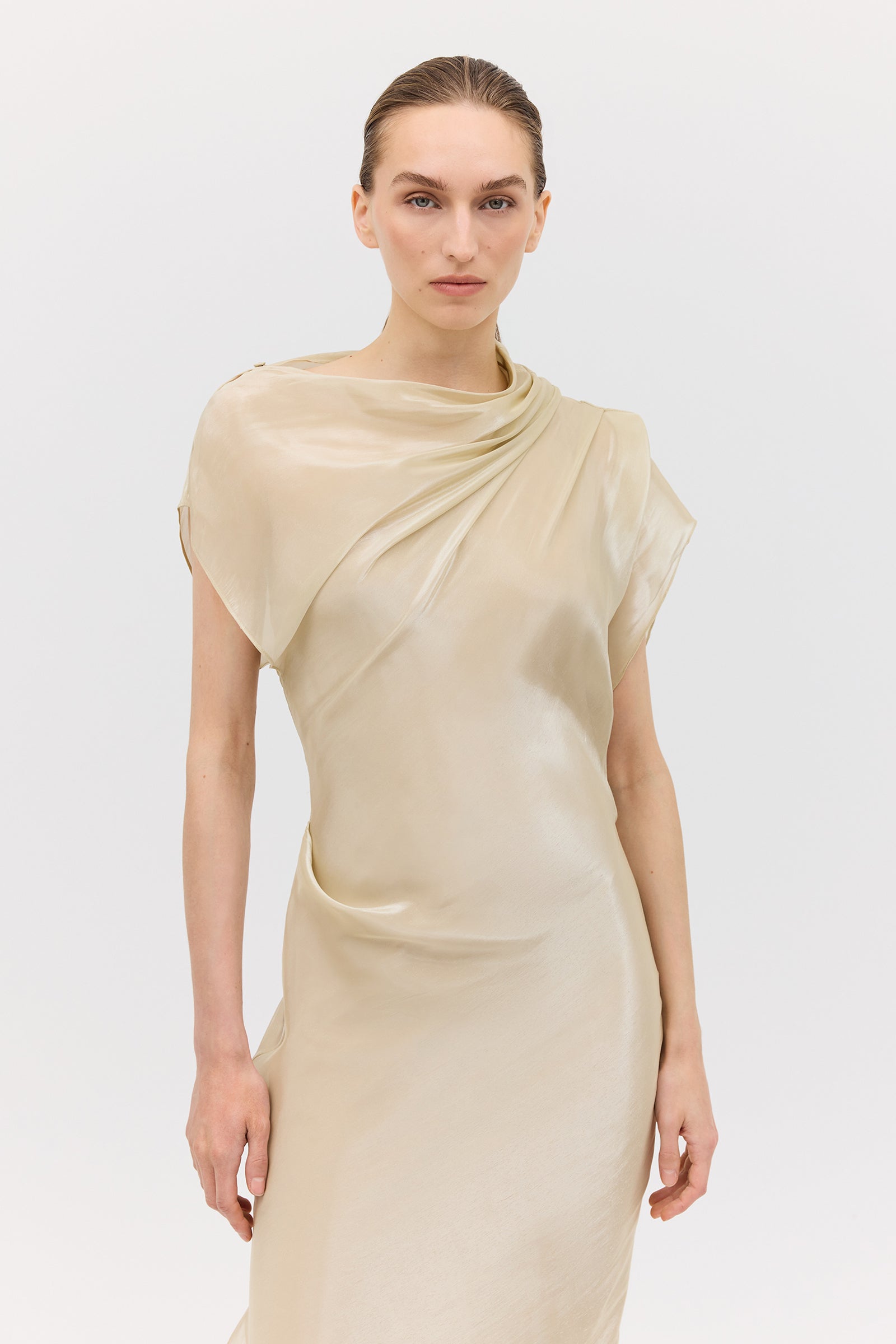 CHAMPAGNE LIQUID ORGANZA DECODE DRESS