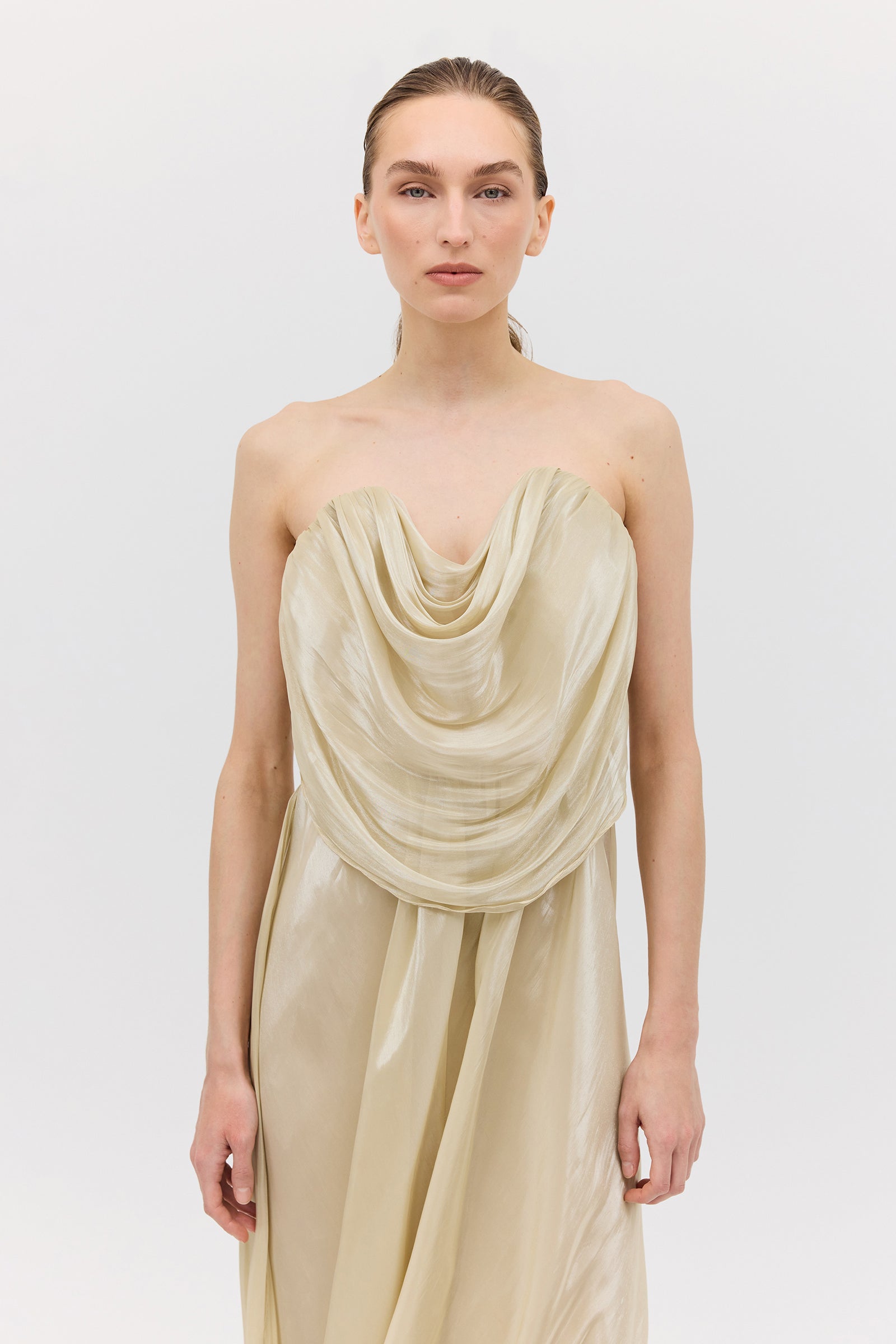 CHAMPAGNE LIQUID ORGANZA TIDAL BUSTIER DRESS