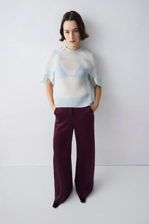 Person wearing a sheer white top and dark purple pants against a white background
